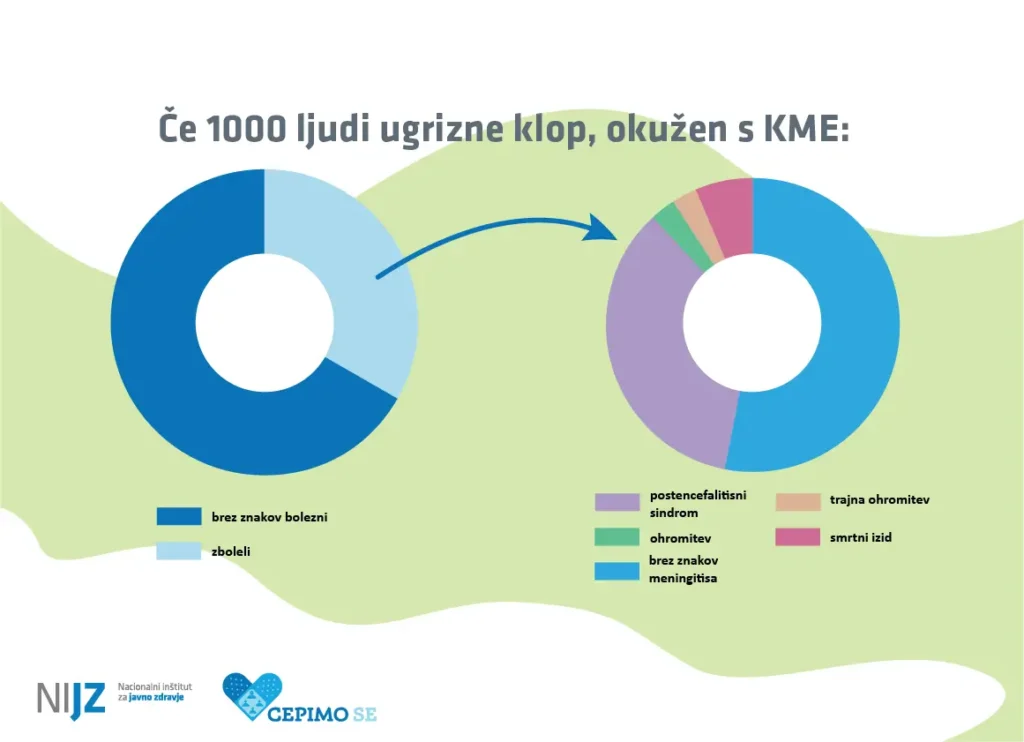 Infografika prikazuje posledice ugriza okuženega klopa z virusom KME (klopni meningoencefalitis).